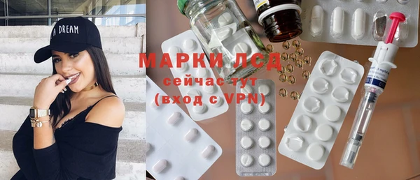 мяу мяу мука Магас