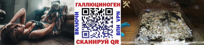 Галлюциногенные грибы GOLDEN TEACHER  omg рабочий сайт  Новоаннинский  где продают наркотики 